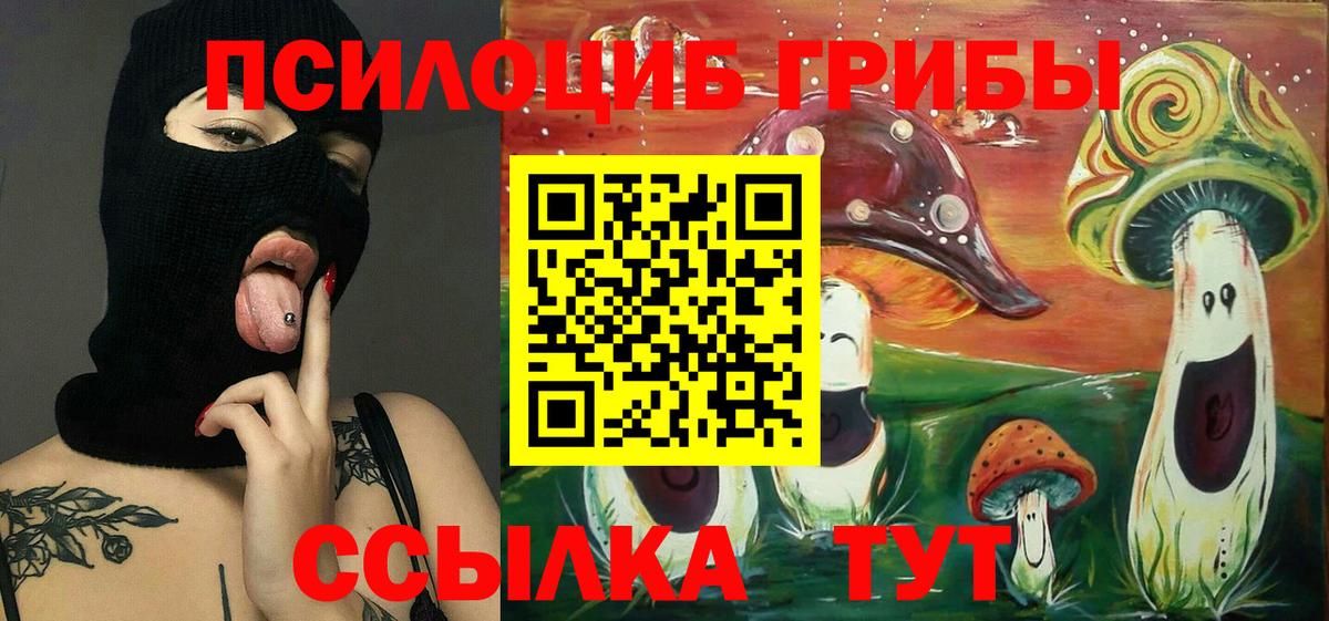 Псилоцибиновые грибы Psilocybe  Вход с VPN  Гатчина 