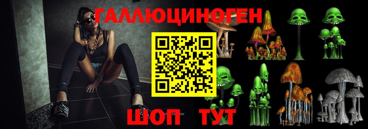 Псилоцибиновые грибы MAGIC MUSHROOMS Гатчина